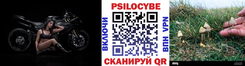 продажа наркотиков  Выкса  Галлюциногенные грибы GOLDEN TEACHER 